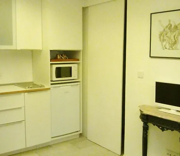 Cosy Studio Santa Catarina *